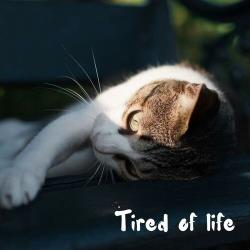Cбopник - tired of life (2025) [2025] | MP3]