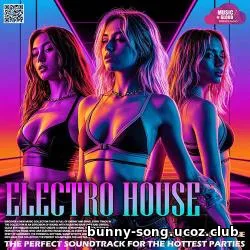The Perfect Electro House The Perfect Electro House