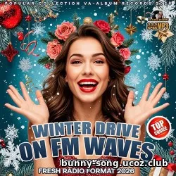 Winter Drive On FM Waves