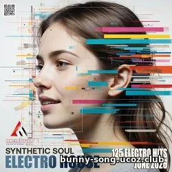 EDM: Electro House: Synthetic Soul (2026)